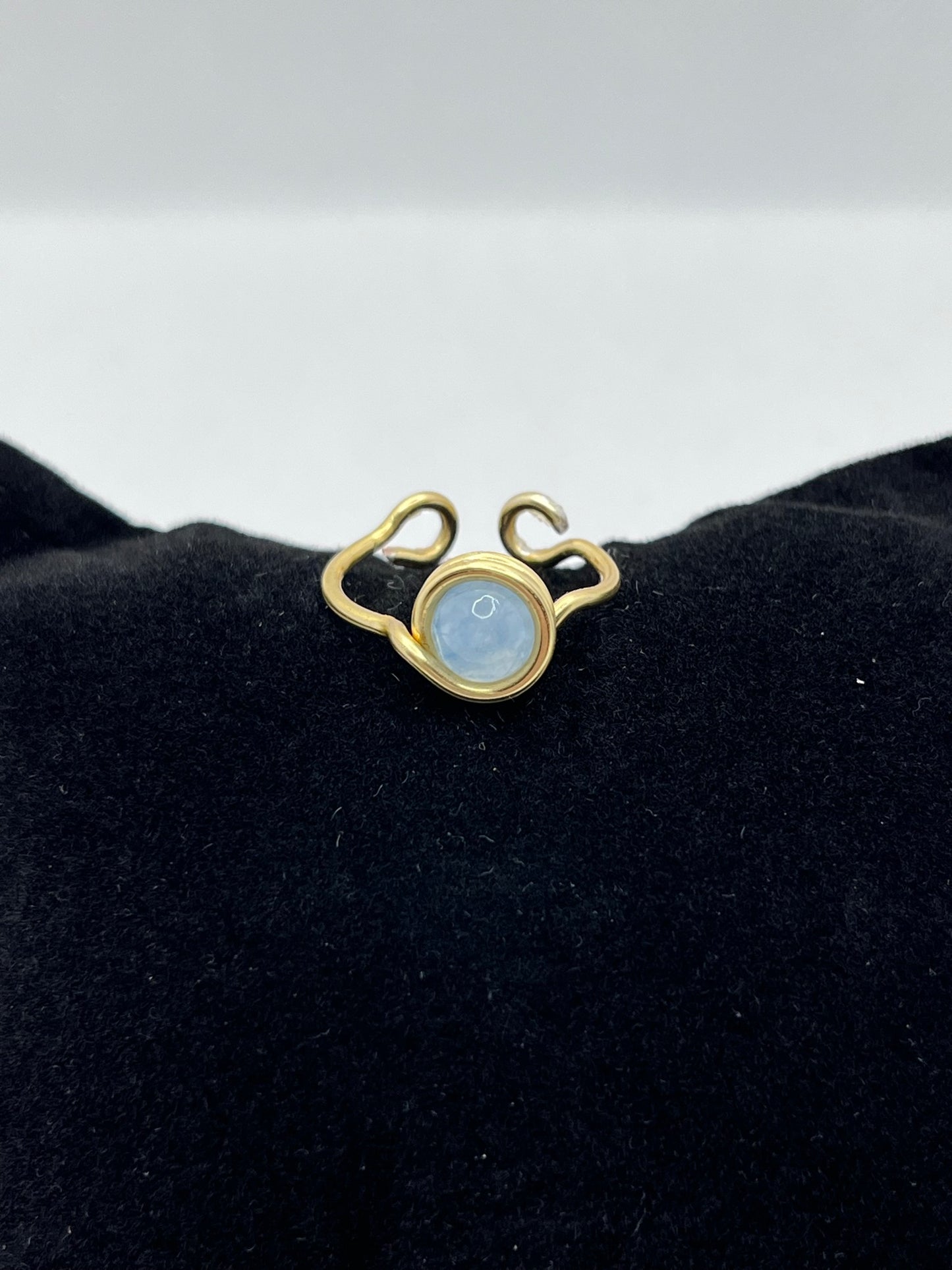 Earth ring